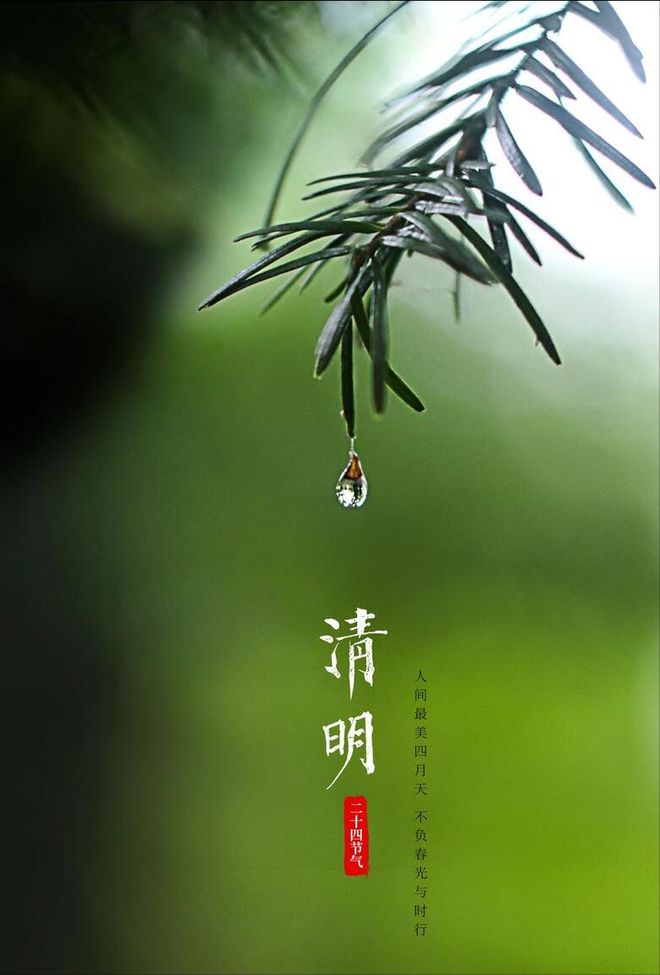 八十不扫墓”关于清明禁忌你知道多少？爱游戏app登录老话：“七十不上坟