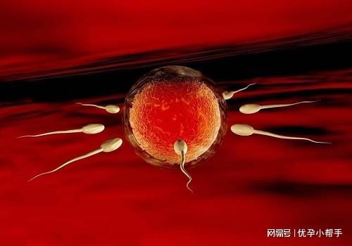 孕及孕期需要注意什么呢？-优孕行ayx爱游戏app体育高龄女性备